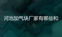 河池加氣塊廠家有哪些和河池加氣塊廠家的情況說明