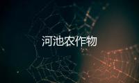 河池農(nóng)作物