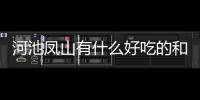 河池鳳山有什么好吃的和河池鳳山酒店圖片的詳細(xì)介紹