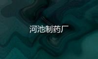 河池制藥廠
