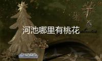 河池哪里有桃花