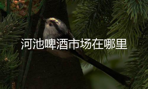 河池啤酒市場在哪里