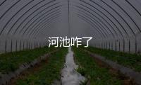 河池咋了