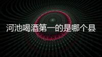 河池喝酒第一的是哪個縣:廣西河池酒妹