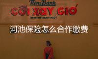 河池保險怎么合作繳費