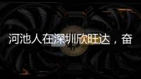 河池人在深圳欣旺達，奮斗歷程與夢想起航