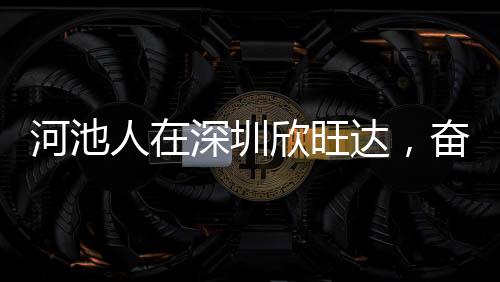 河池人在深圳欣旺達，奮斗歷程與夢想起航