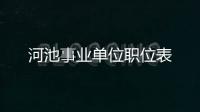 河池事業單位職位表