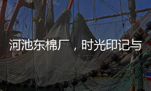 河池東棉廠，時光印記與工業傳奇