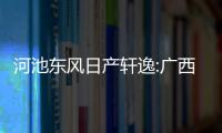 河池東風日產(chǎn)軒逸:廣西河池東風日產(chǎn)
