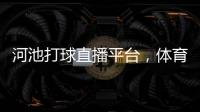 河池打球直播平臺，體育新風尚，未來已來