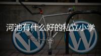 河池有什么好的私立小學