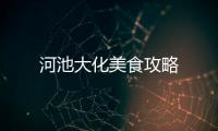 河池大化美食攻略