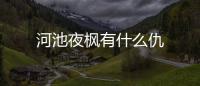 河池夜楓有什么仇