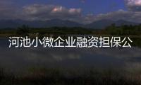 河池小微企業融資擔保公司董事長包括廣西河池融資貸款的具體內容