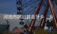 河池市鳳山縣金牙鄉(xiāng)，鄉(xiāng)長的擔當與作為