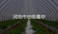 河池市地級高中