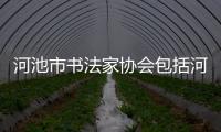 河池市書法家協會包括河池書法美術攝影的詳細情況