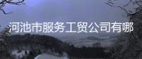河池市服務工貿公司有哪些和河池市服務工貿公司的情況說明