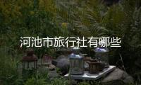 河池市旅行社有哪些