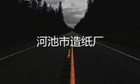 河池市造紙廠