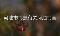 河池市韋慧有關河池韋瑩瑩的詳細內容