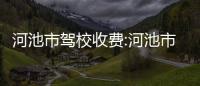 河池市駕校收費:河池市駕校