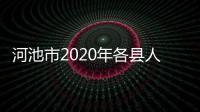 河池市2020年各縣人均gdp