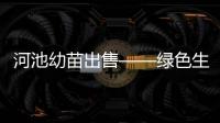 河池幼苗出售——綠色生命的希望之路