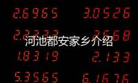 河池都安家鄉介紹