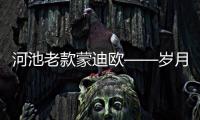 河池老款蒙迪歐——?dú)q月印刻的優(yōu)雅與力量