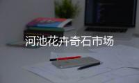河池花卉奇石市場