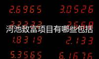 河池致富項目有哪些包括河池致富項目的具體內(nèi)容