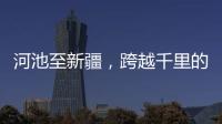 河池至新疆，跨越千里的物流傳奇