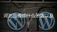 河池跟輝輝什么矛盾以及河池怕輝輝的情況分析