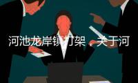 河池龍岸鎮打架，關于河池龍扇鄉詳細情況