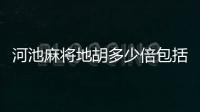 河池麻將地胡多少倍包括河池麻將亂爛的詳細情況