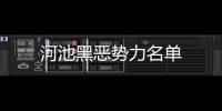 河池黑惡勢力名單