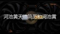 河池黃天德簡歷和河池黃德新的情況說明