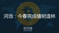 河池：今春完成植樹造林13萬多畝