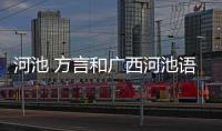 河池 方言和廣西河池語錄的詳細介紹