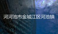 河河池市金城江區河池鎮文化體育和廣播電視站