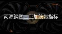 河源鋼塑土工加筋帶指標(biāo)