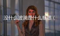 沒什么波瀾是什么意思（毫無波瀾什么意思）