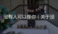 沒有人可以像你（關于沒有人可以像你的基本情況說明介紹）
