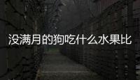 沒滿月的狗吃什么水果比較好(剛滿月的小狗能吃什么水果)