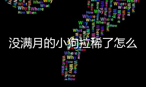 沒滿月的小狗拉稀了怎么辦(沒滿月的小狗怎么喂)