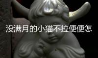 沒滿月的小貓不拉便便怎么辦？沒滿月的小貓不拉便怎么辦