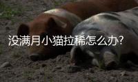沒滿月小貓拉稀怎么辦?(沒滿月小貓拉稀,叫的特別兇怎么回事)