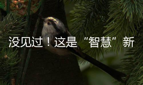 沒見過！這是“智慧”新教室！東中“新中考標準實驗室”來了→
